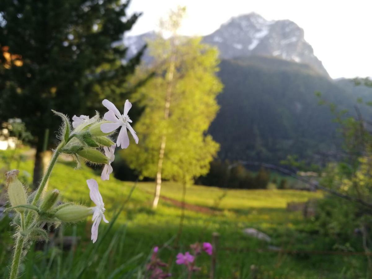 Kofelhof Villa Sexten ภายนอก รูปภาพ